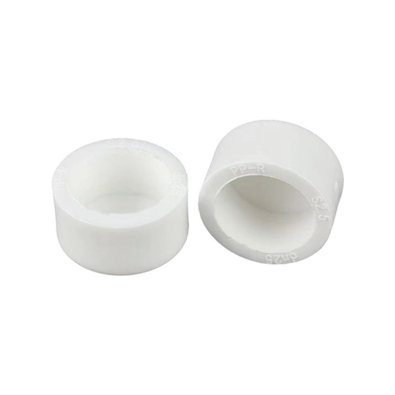 PPR End Plug